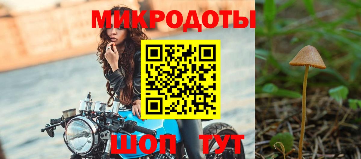 Псилоцибиновые грибы мицелий  Вход с VPN  Трёхгорный  Псилоцибиновые грибы Cubensis 